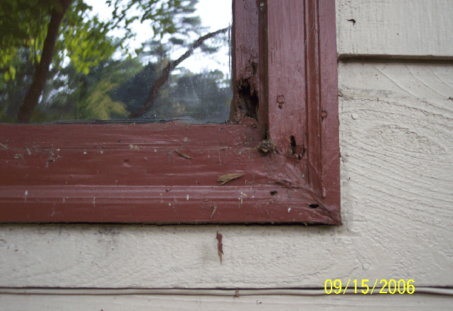 Door and window 25